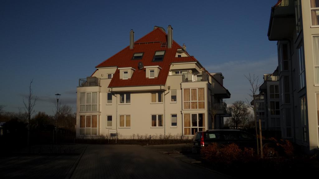 Seestern Grossenbrode